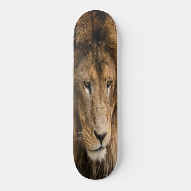 Skateboard powerfully built LION  (Front)