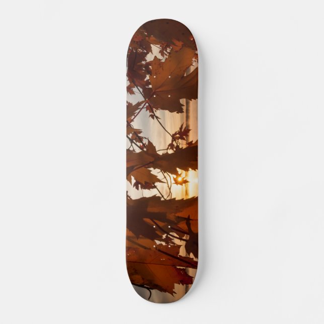 Skateboard sheets of maple deck (Front)
