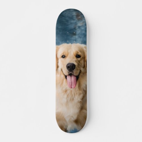 Skateboard Smart Dog Labrador