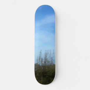 SKATEBOARD STYLE AND DESIGN