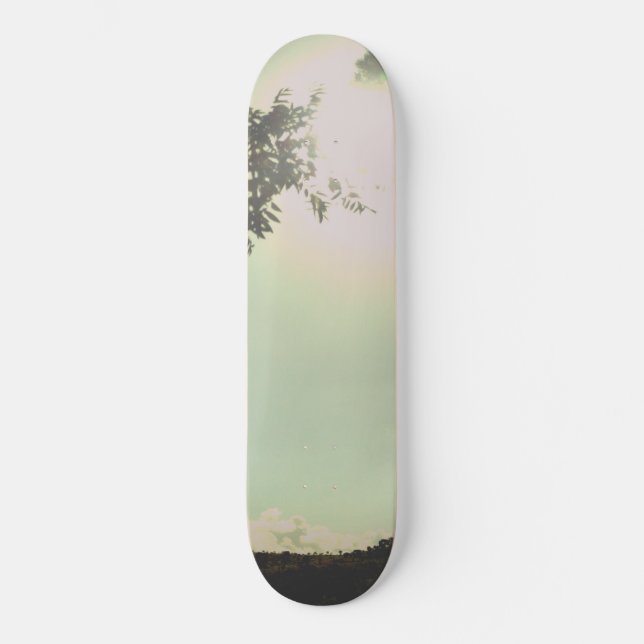 SKATEBOARD STYLE AND DESIGN (Front)