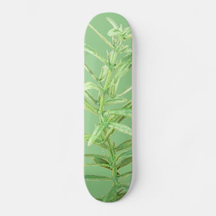 SKATEBOARD STYLE AND DESIGN