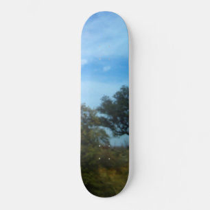 SKATEBOARD STYLE AND DESIGN