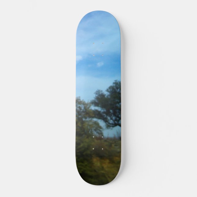 SKATEBOARD STYLE AND DESIGN (Front)