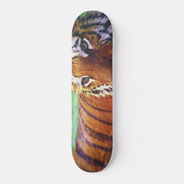 Skateboard Tiger (Front)