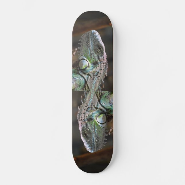 Skateboard with head of colourful Iguana Lizard (Front)