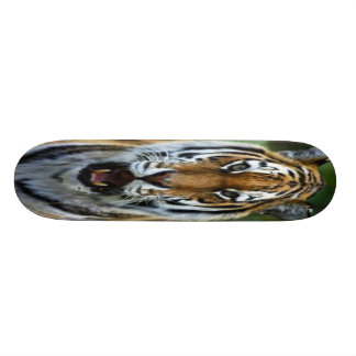 Skateboard with Tiger face picture