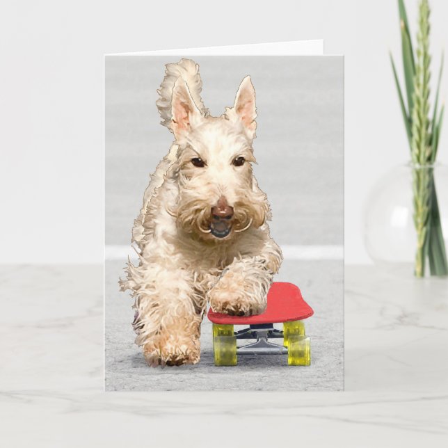 Skateboarding Scottish Terrier Greeting Card (Front)