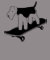 Skateboarding Welsh Terrier