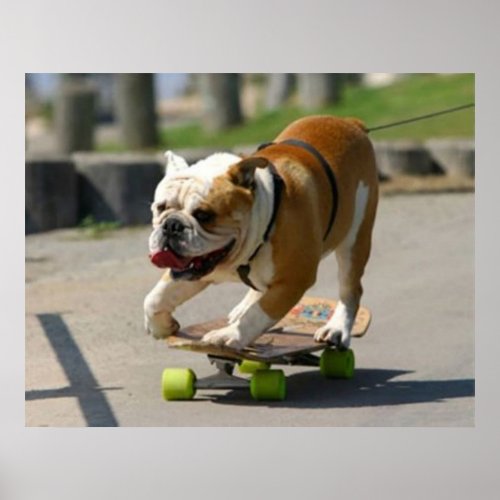 Skater Dog Poster