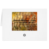 Skater Down, What's up? (Back Horizontal)