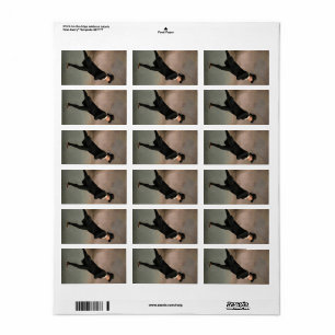 Skating on Duddingston Loch by Henry Raeburn Label