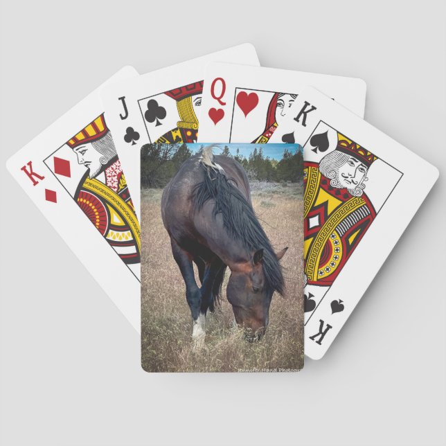 Skeeter Poker Cards (Back)