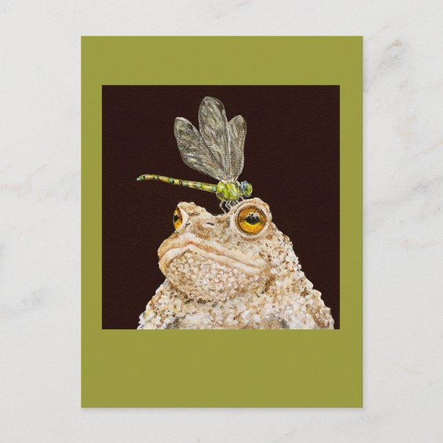skeeter the toad postcard (Front)