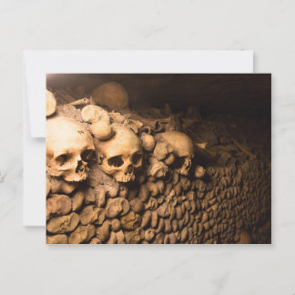 Skeletal Arrangement, Catacombs of Paris Postcard