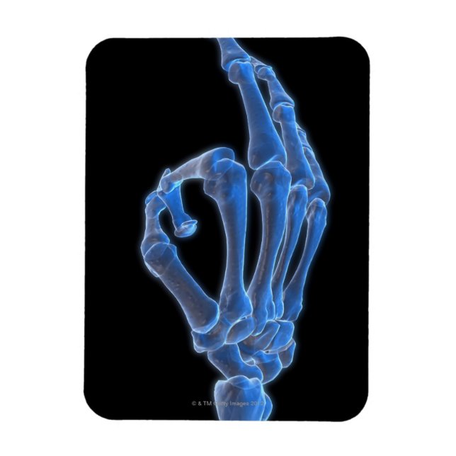 Skeletal Hand Gesture Magnet (Vertical)