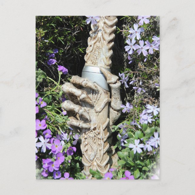 Skelethand - Gothic / Postcard (Front)