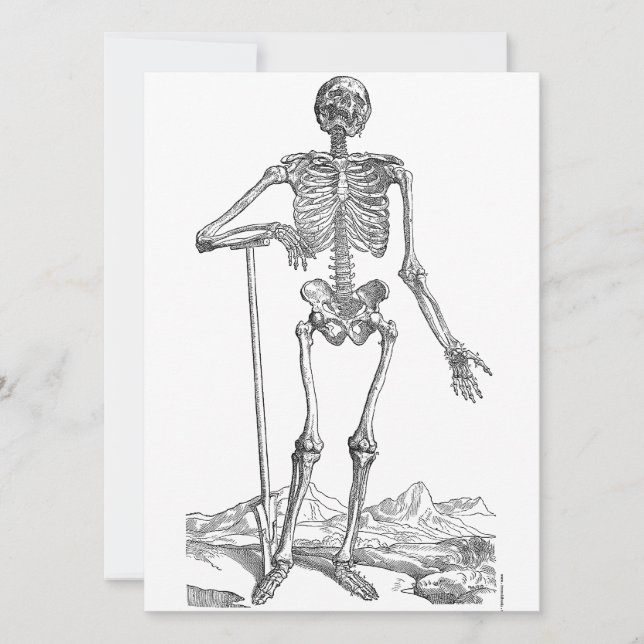 Skeleton (Front)