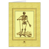 Skeleton (Front)