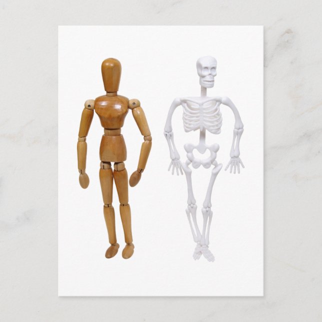Skeleton100309 Postcard (Front)