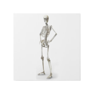 Skeleton 12" x 12" Gallery Wrap