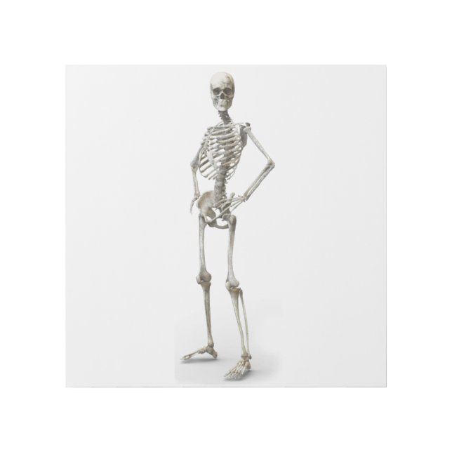 Skeleton 12" x 12" Gallery Wrap (Front)
