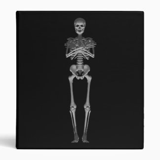 Skeleton 3D Model: Custom Binder