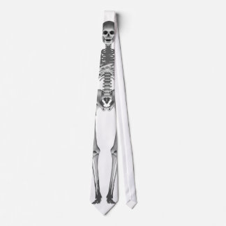 Skeleton 3D Model: Necktie / Tie