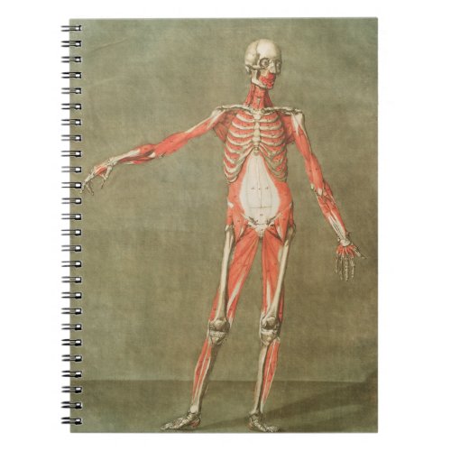 SKELETON ANATOMY BONES BODY GRAVE MUSCLE ANATOMY I NOTEBOOK