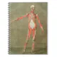 SKELETON ANATOMY BONES BODY GRAVE MUSCLE ANATOMY I NOTEBOOK | Zazzle