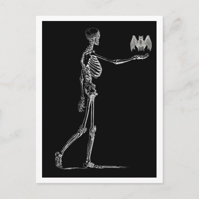 Skeleton and Bat Postcard (Front)