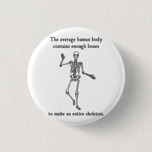 Skeleton Bones in the Average Human Body Pinback Button (Front)