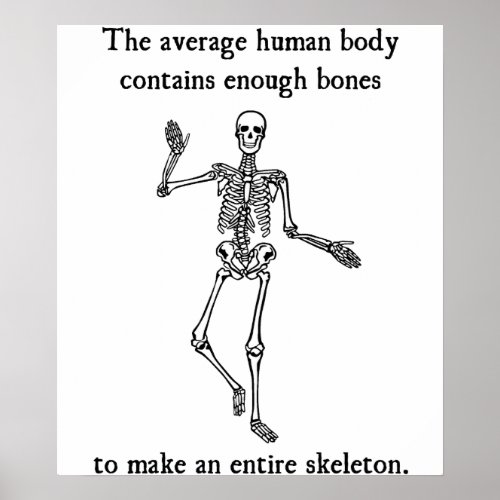 Skeleton Bones in the Average Human Body Poster