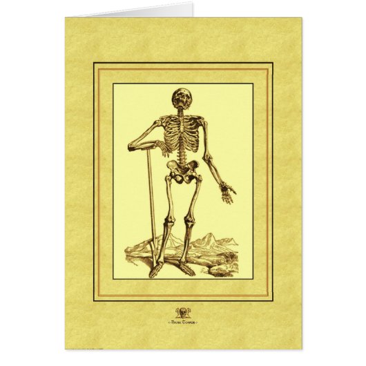 Skeleton Cards (Front)