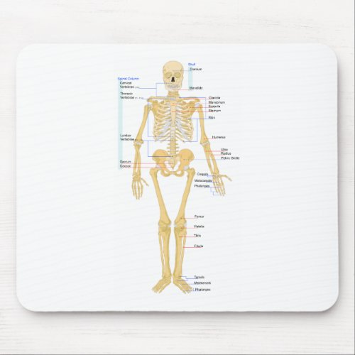 Skeleton Chart Mouse Pad