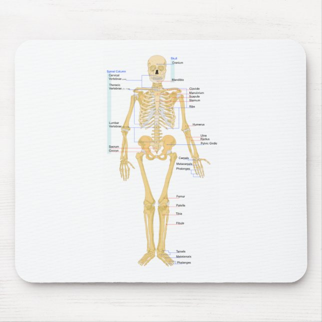 Skeleton Chart Mouse Pad (Front)