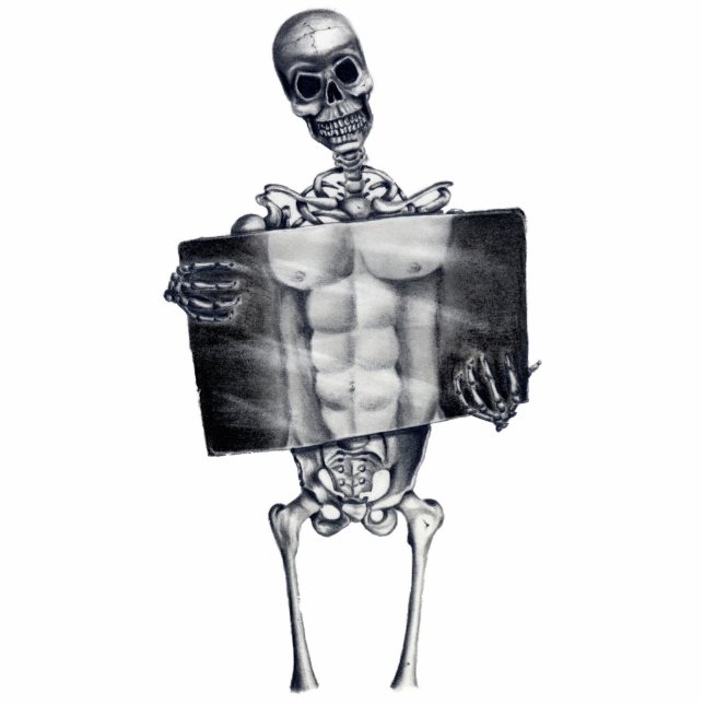 Skeleton Chest Xray Photo Sculpture (Front)