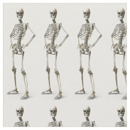 Skeleton Fabric Zazzle