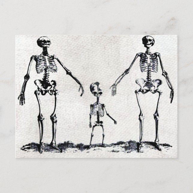Skeleton Family Postcard (Front)