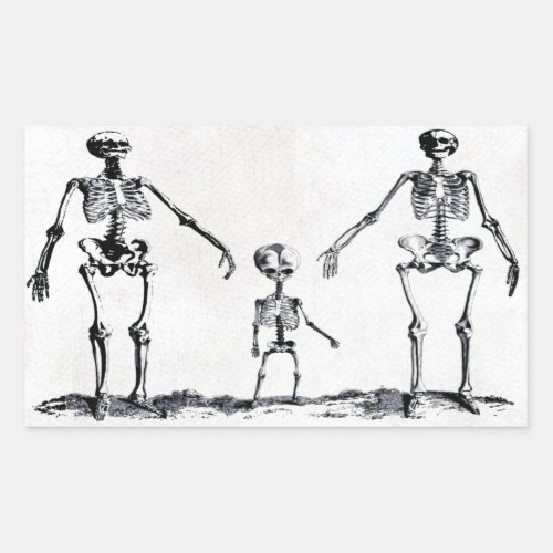 Skeleton Family Sticker