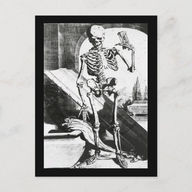 Skeleton from Anatomia Humani Corporis Postcard (Front)