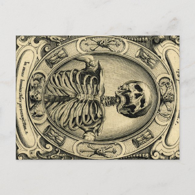 Skeleton, Goth, Medieval Postcard (Front)