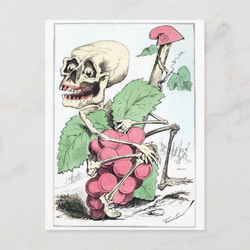 Skeleton grape theif vintage postcard