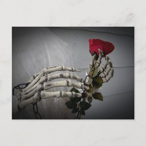 Skeleton hands rose postcard