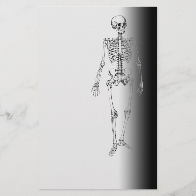 Skeleton Horror Goth Halloween Scary Stationery (Front)