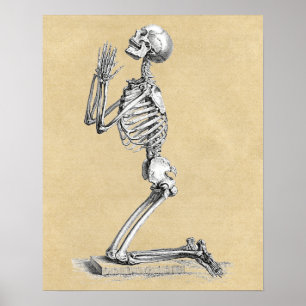 Skeleton in Prayer Medical Diagram Poster