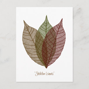 Skeleton Leaves Postcard