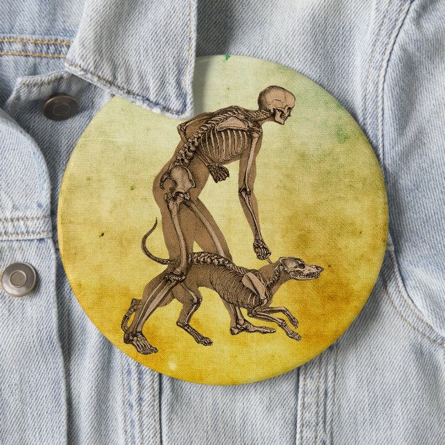 skeleton man and dog human animal anatomy art  but button (In Situ)