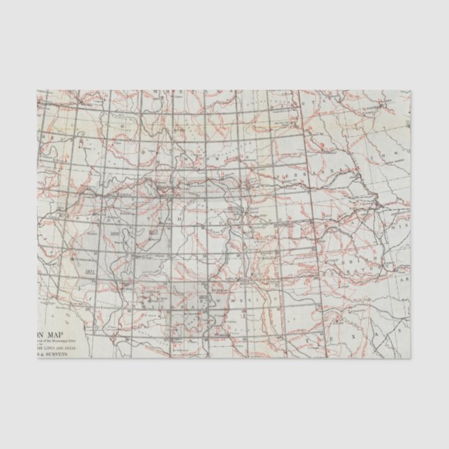 Skeleton Map Tissue Paper (Front)