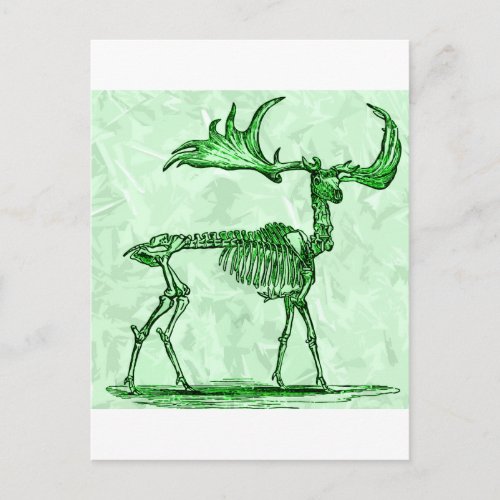 skeleton moose postcard